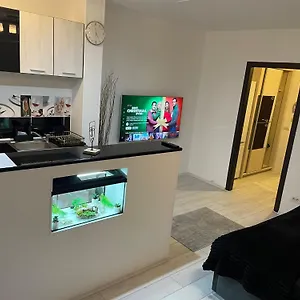 Fancy Arena Nationala Bucureşti